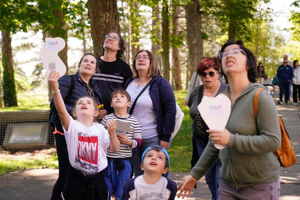 Fotos: Las mejores imágenes del Día de Nuestra Señora de Estíbaliz