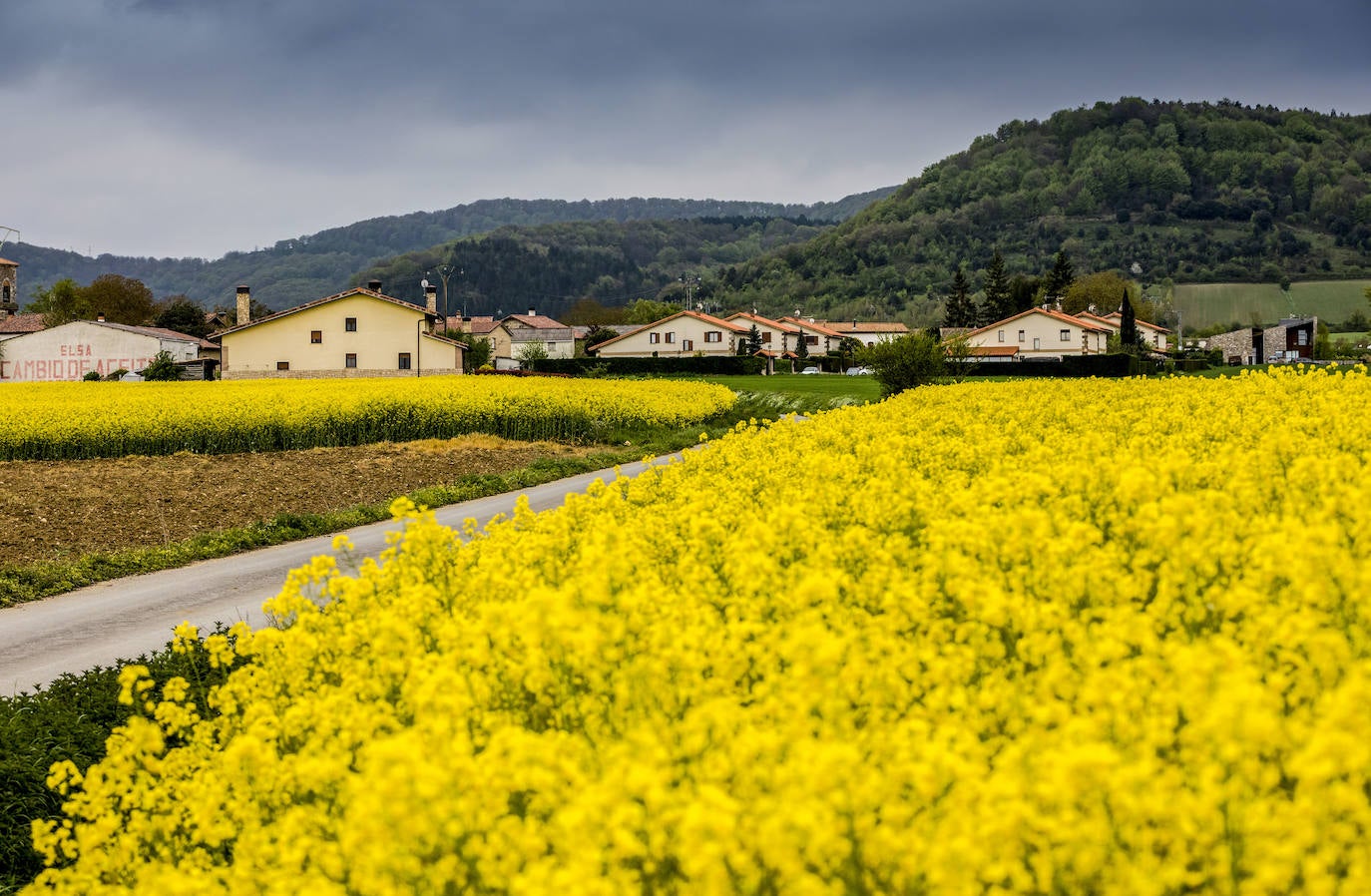 La localidad alavesa de Arkaia, enmarcada entre los verdes montes y el amarillo de las plantaciones de colza.