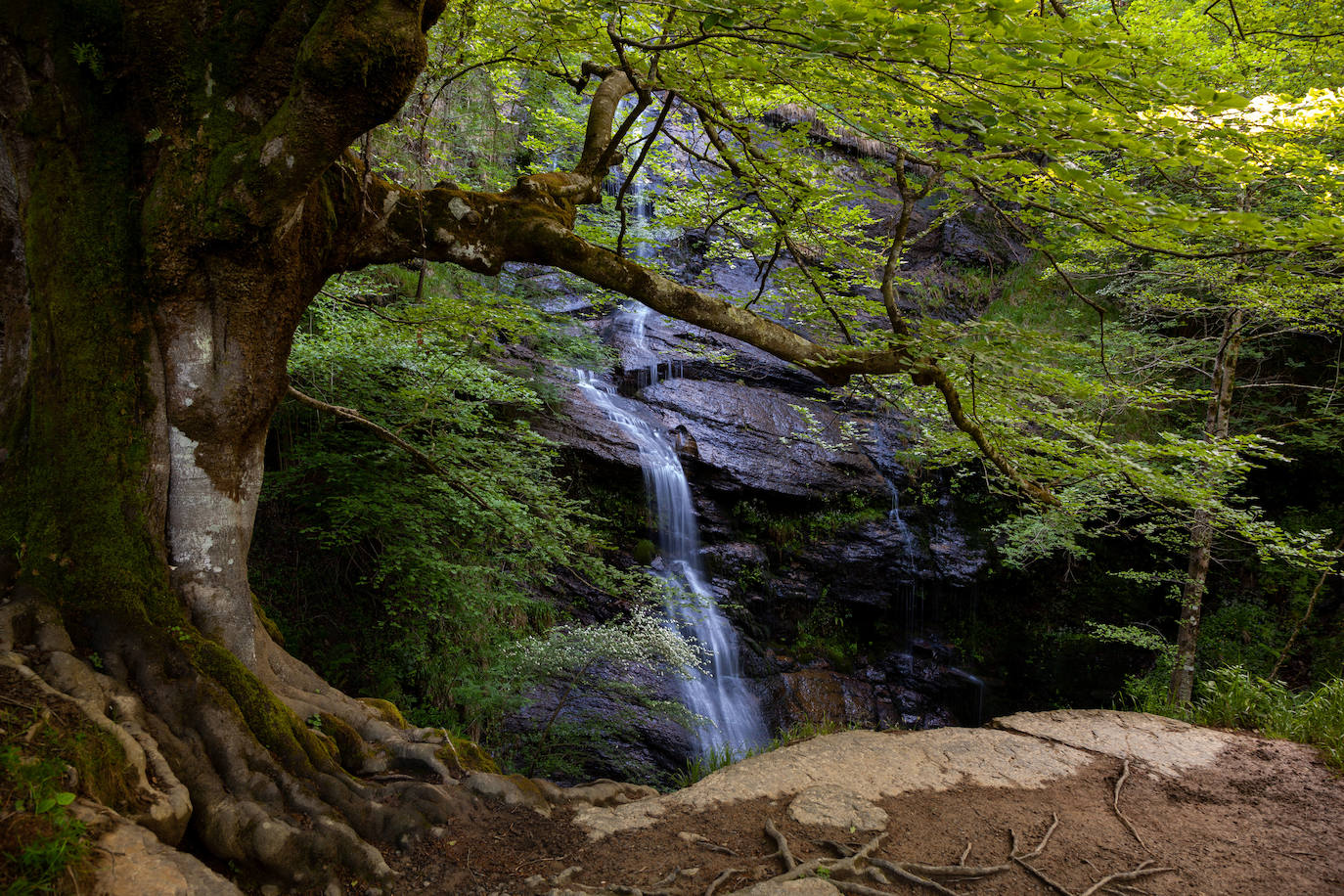 El Parque Natural del Gorbea esconde secretos naturales como el macizo de Itxina, uno de los parajes más abruptos del País Vasco.