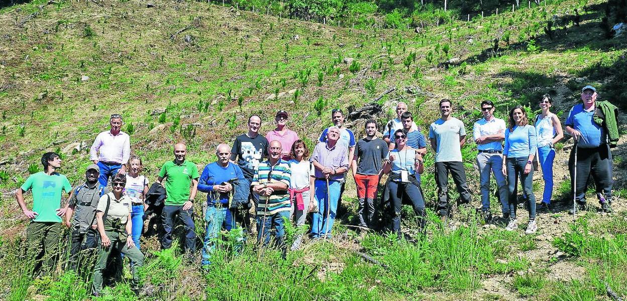 El equipo del departamento de Ciencias Forestales de Neiker posa en la plantación de 'superpinos' de Llodio.