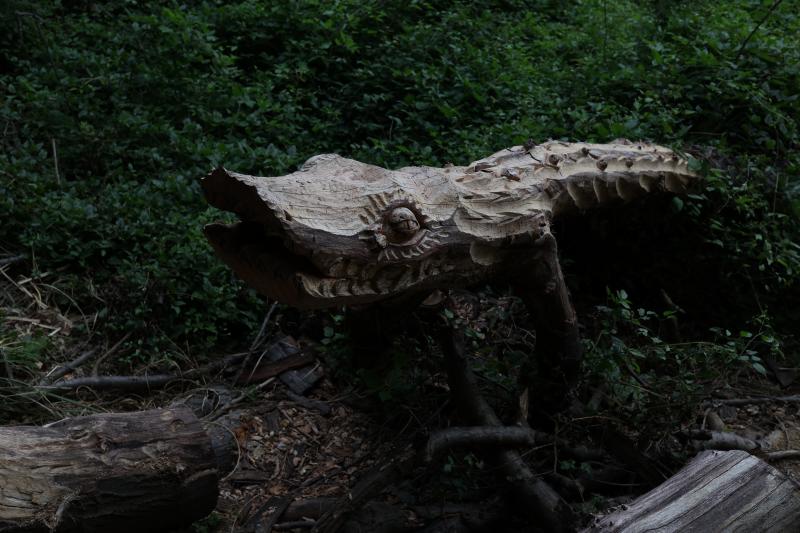 Fotos: Aparecen unas misteriosas tallas en Atxanda