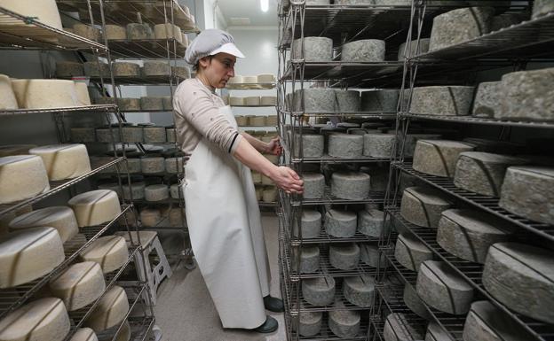 Maider, rodeada de sus quesos en la cámara de su quesería en Legutio.