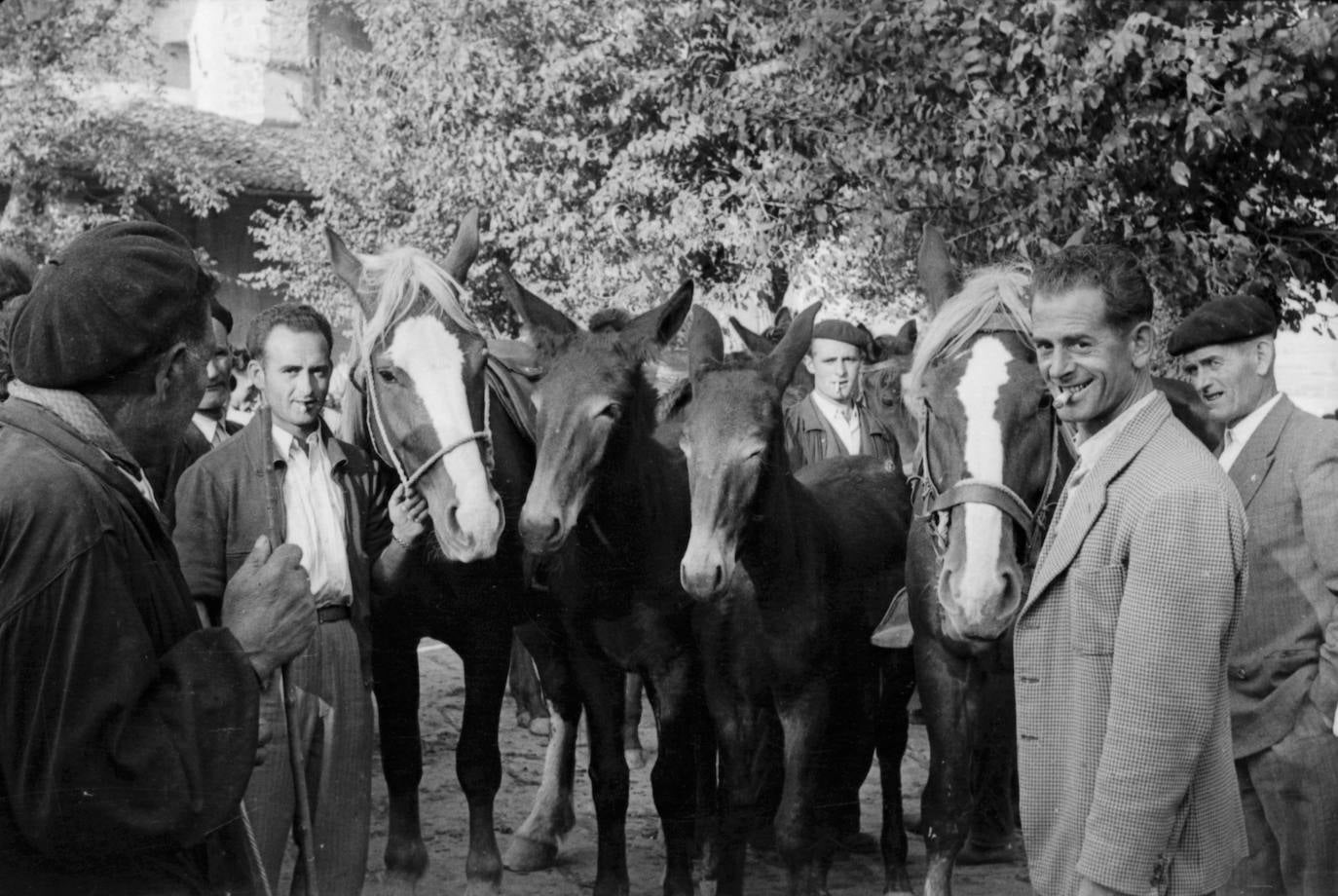 Feria de ganado donde confluyen gran número de personas y animales en Salvatierra.