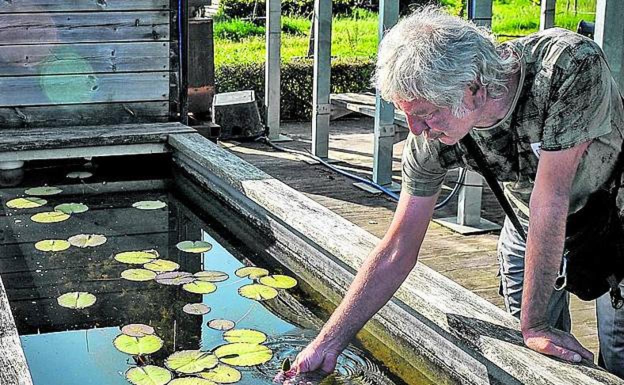 Ejemplares conservados en el vivero de Olárizu.