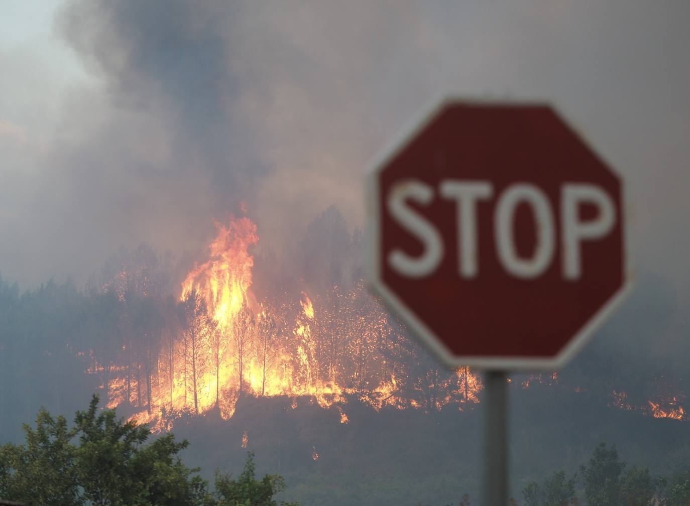 Fotos: Navarra, en estado de máxima alerta por los incendios