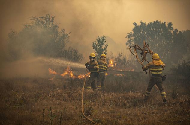 Fotos: Las llamas devoran Zamora