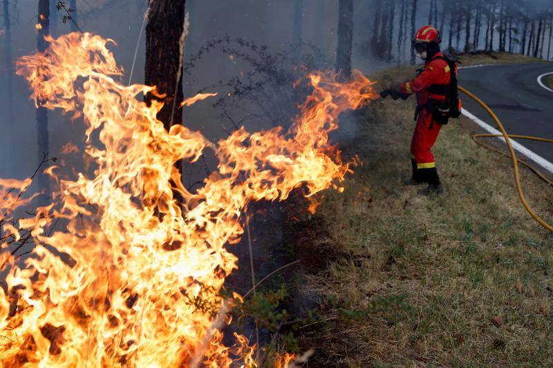 Fotos: Navarra arde por el calor extremo