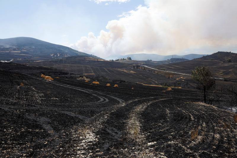 Fotos: Navarra arde por el calor extremo