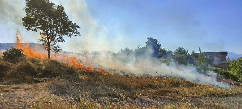 Fotos: El incendio de Mendiola, en imágenes