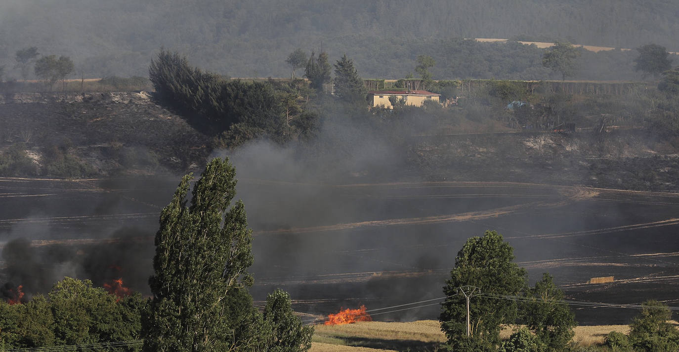 Las llamas avanzan en las cercanías de Mendiola. 