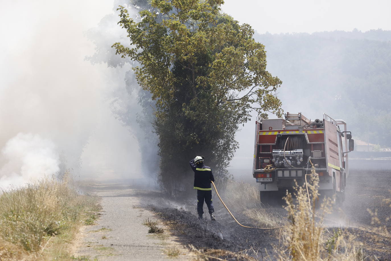 Los bomberos se afanan en atajar el nuevo incendio forestal.