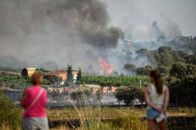 Fotos: Los incendios devoran Zamora