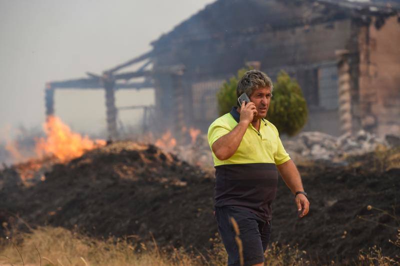 Fotos: Los incendios devoran Zamora