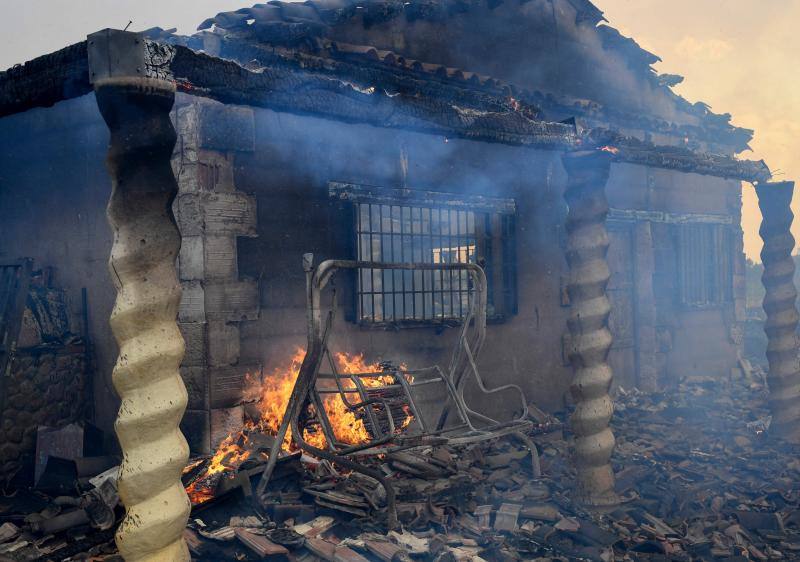 Fotos: Los incendios devoran Zamora