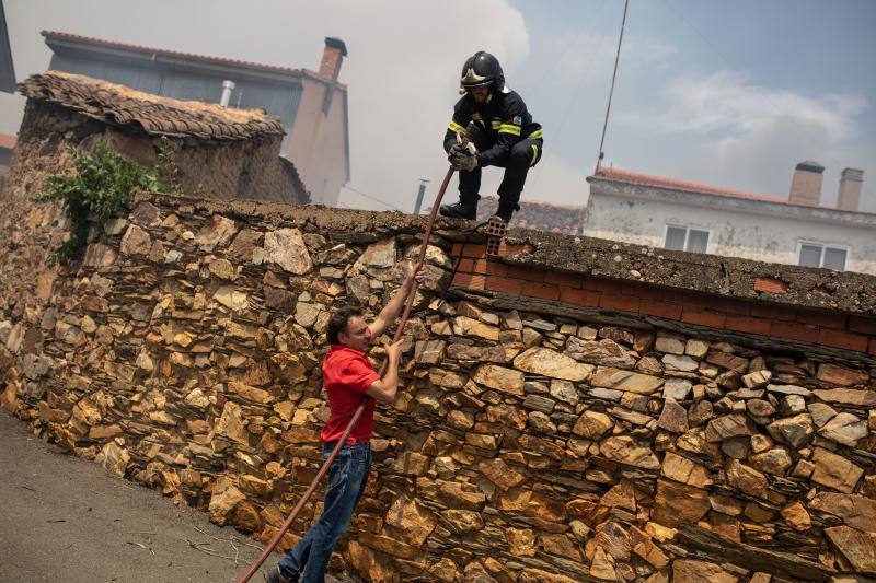 Fotos: Los incendios devoran Zamora