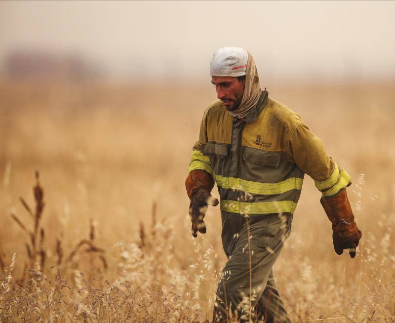 Fotos: Los incendios devoran Zamora