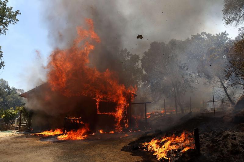 Fotos: Un incendio cercano al Parque de Yosemite (California) pone en peligro sus secuoyas gigantes