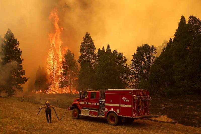 Fotos: Un incendio cercano al Parque de Yosemite (California) pone en peligro sus secuoyas gigantes