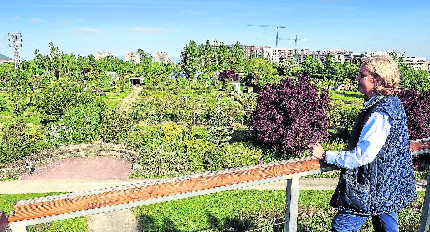 Ana Elorza divisa toda la parcela desde el espacio que tiene reservado el CEA para las plantas exóticas. Al fondo, Aretxabaleta. 