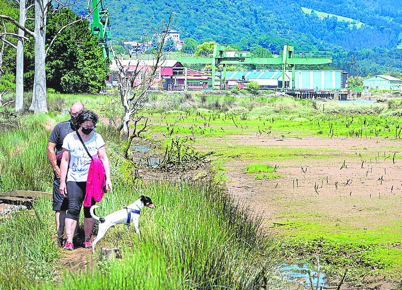 La marisma de Urdaibai, entre los Astilleros de Murueta y Gernika. 