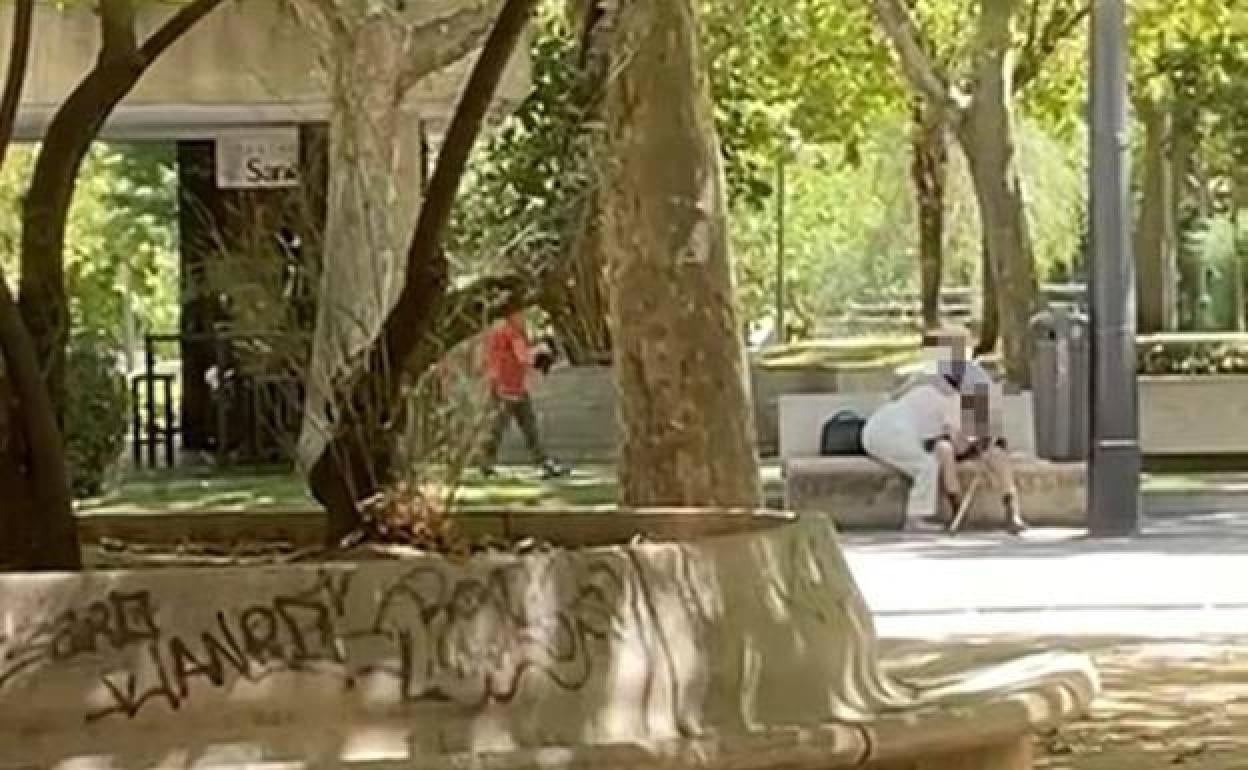 Felación en un parque de Zamora: Multa de 600 euros a la pareja de ancianos  | El Correo