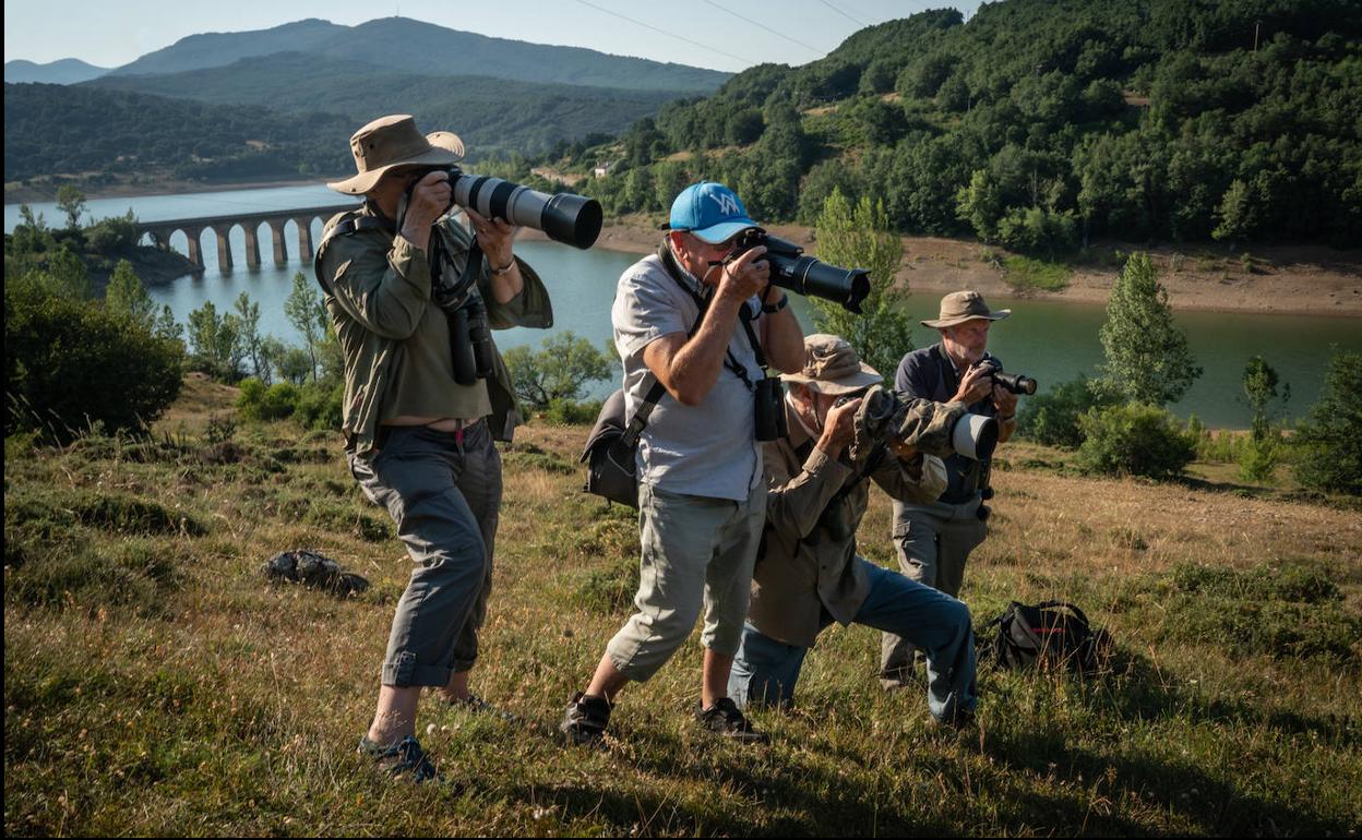 «Los hijos echan a volar y decides entonces... ¡buscar pájaros!»
