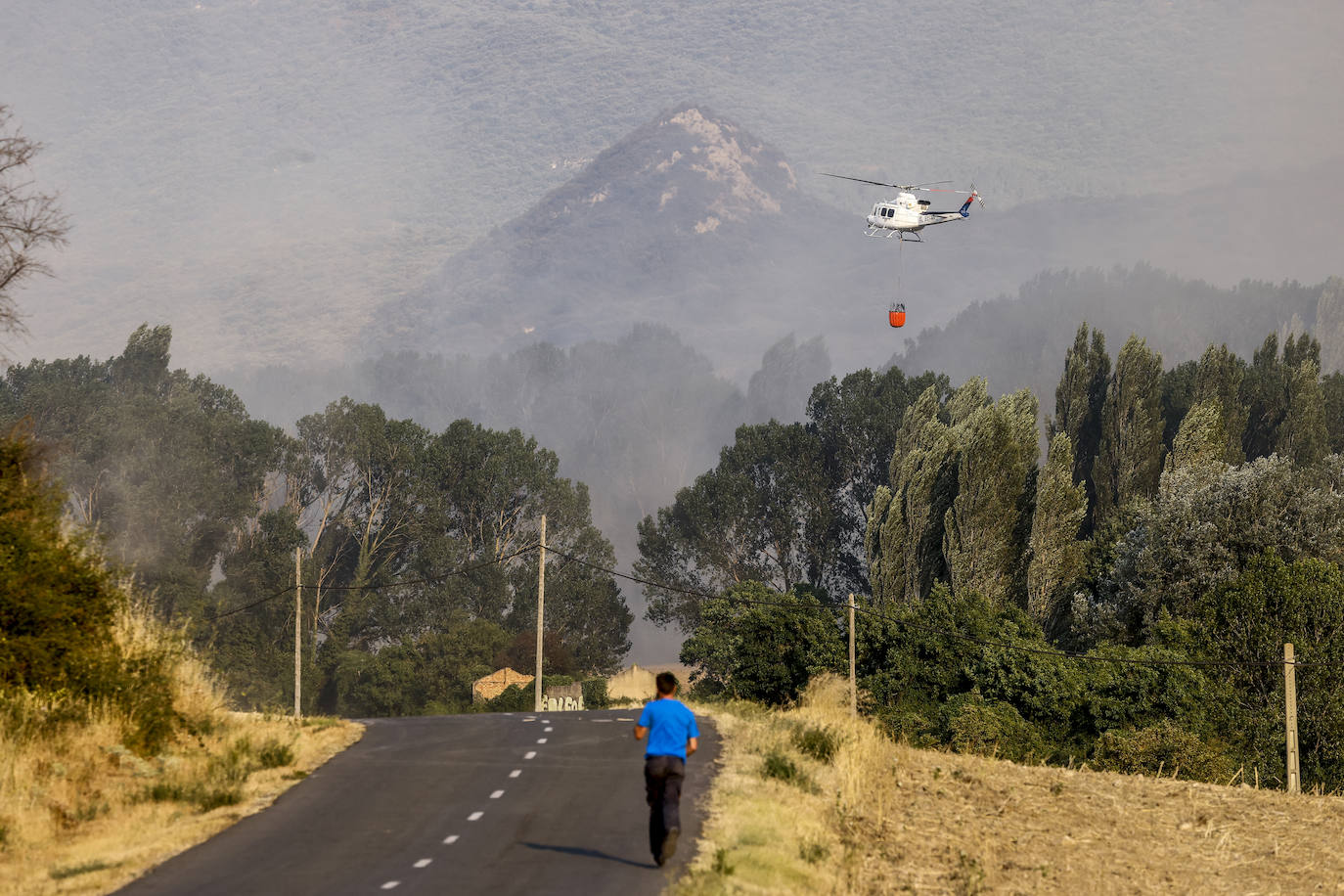 Fotos: Imágenes del incendio declarado en Zambrana