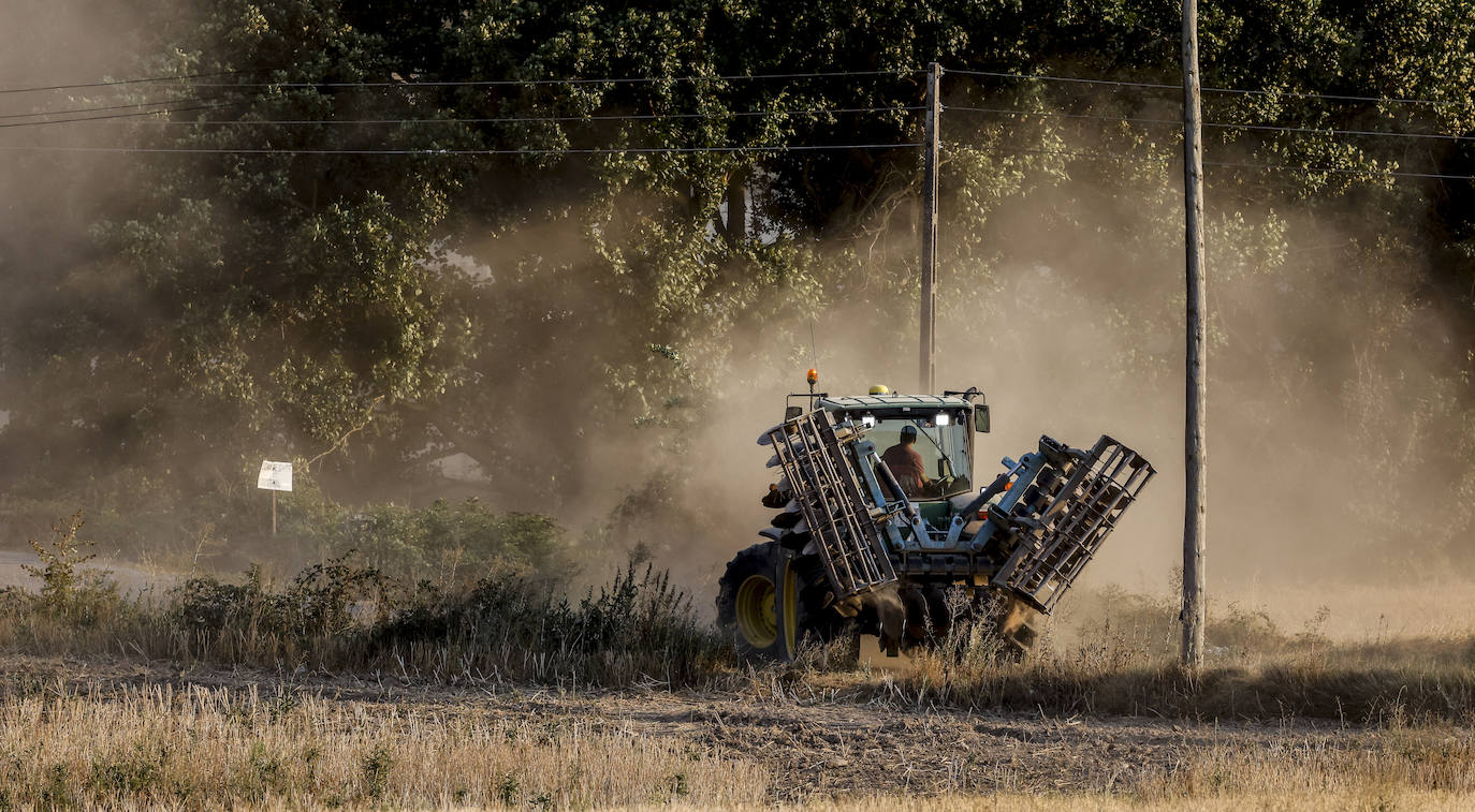 Fotos: Imágenes del incendio declarado en Zambrana