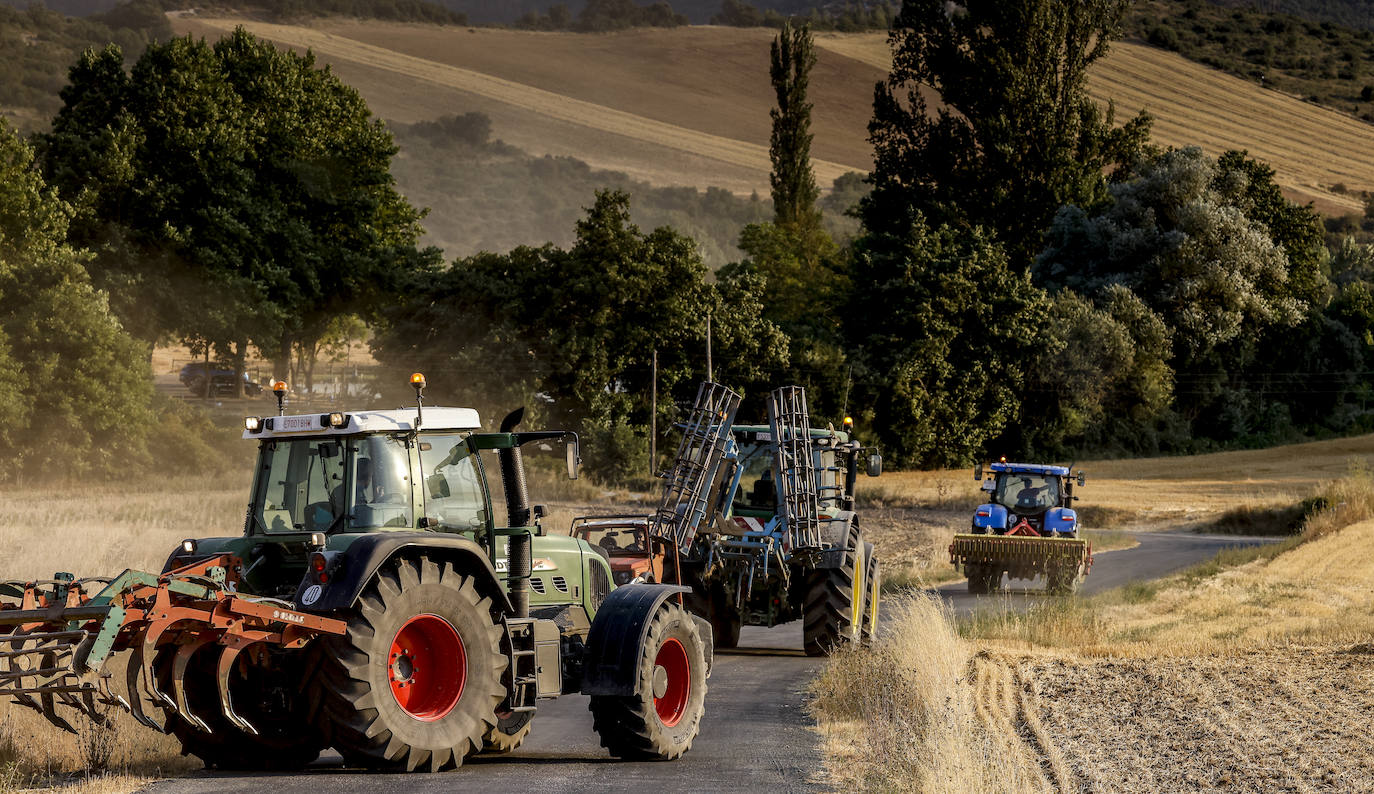 Fotos: Imágenes del incendio declarado en Zambrana