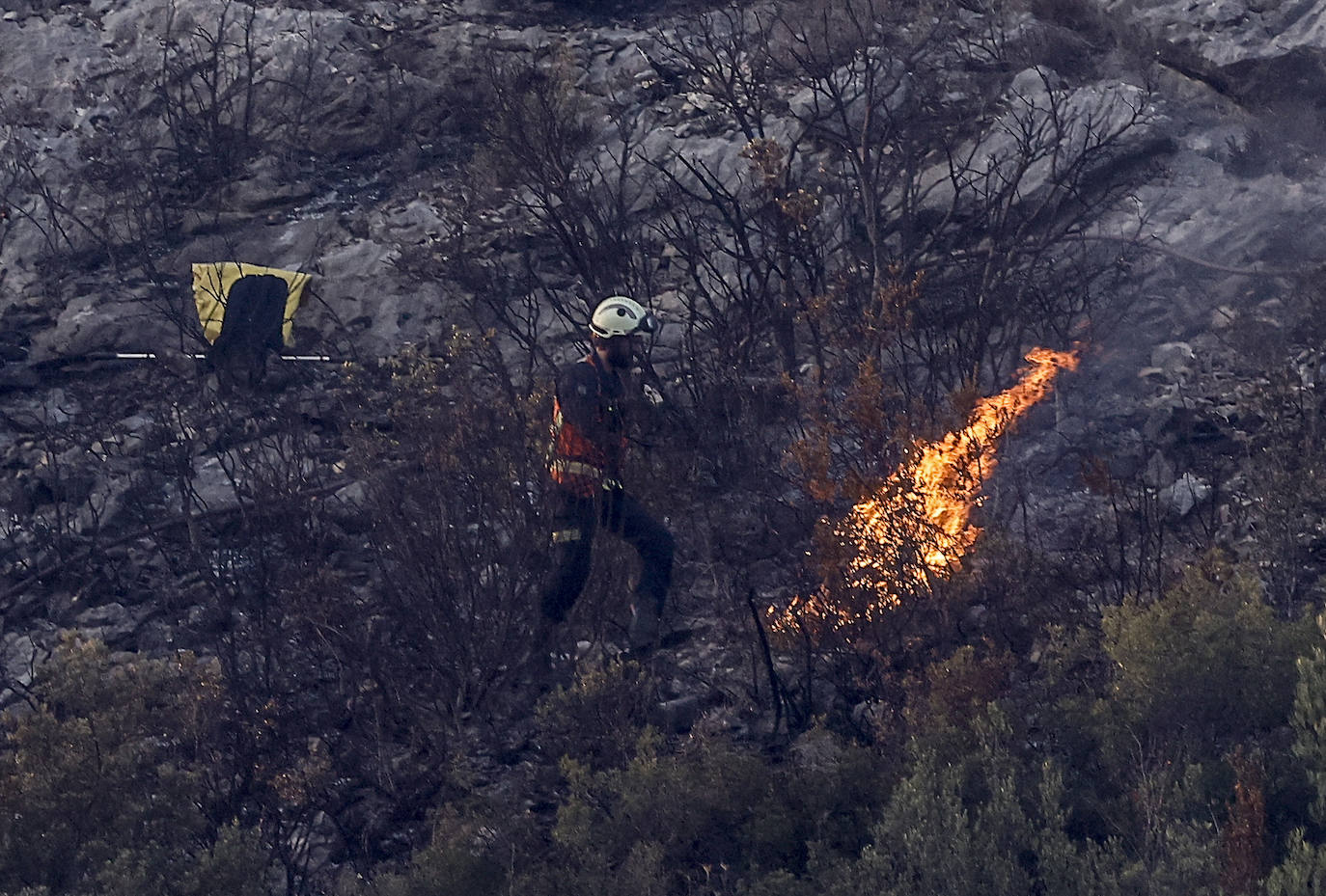 Fotos: Imágenes del incendio declarado en Zambrana