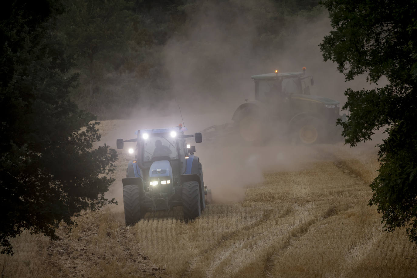Fotos: Imágenes del incendio declarado en Zambrana
