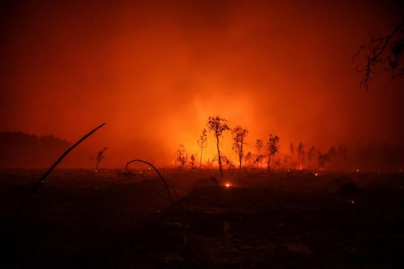 Fotos: Las espectaculares fotos del incendio