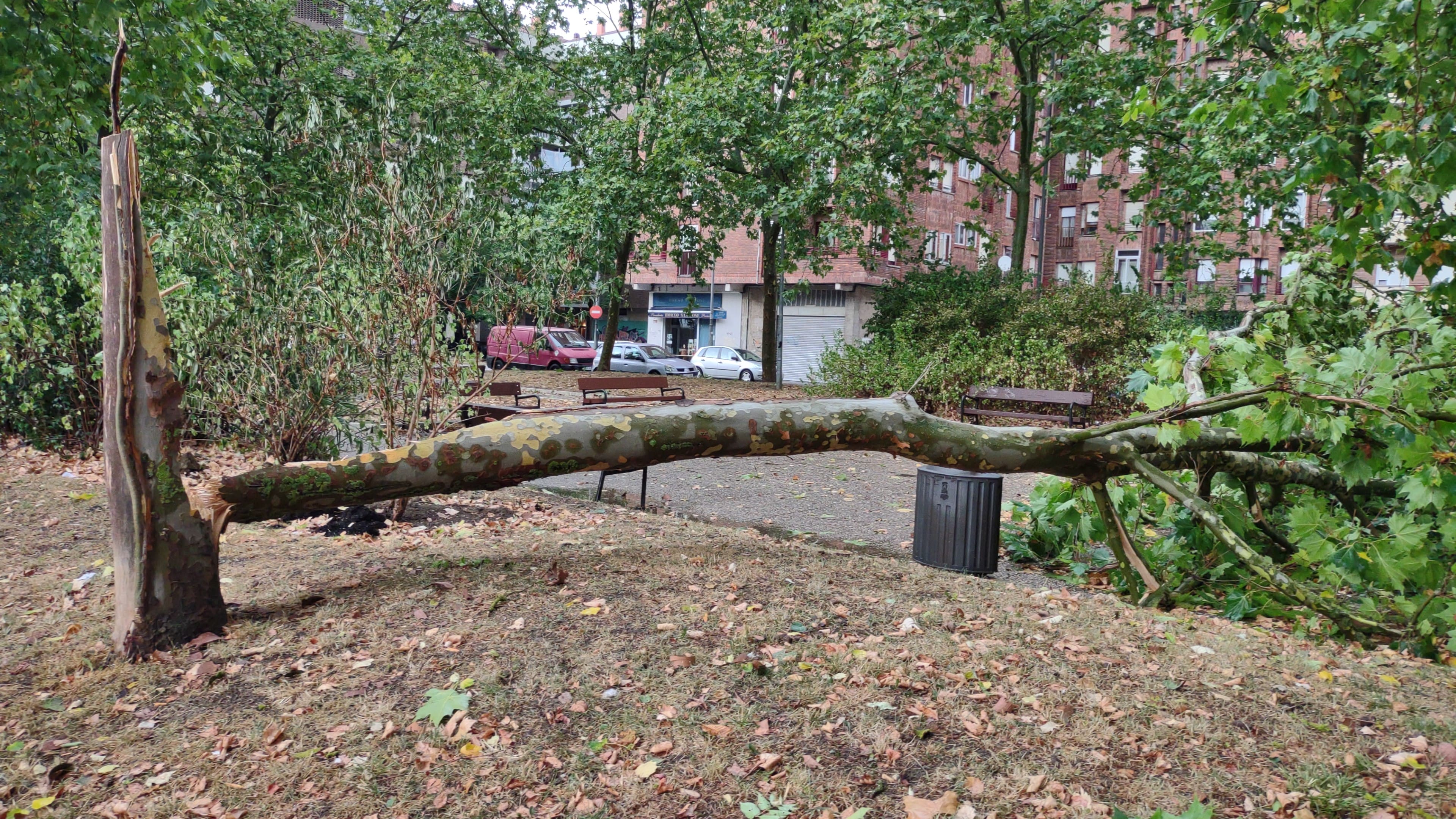 Fotos: Un fuerte aguacero sorprende a Vitoria