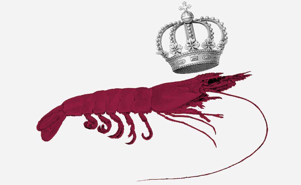 La reina roja y los copos menguantes