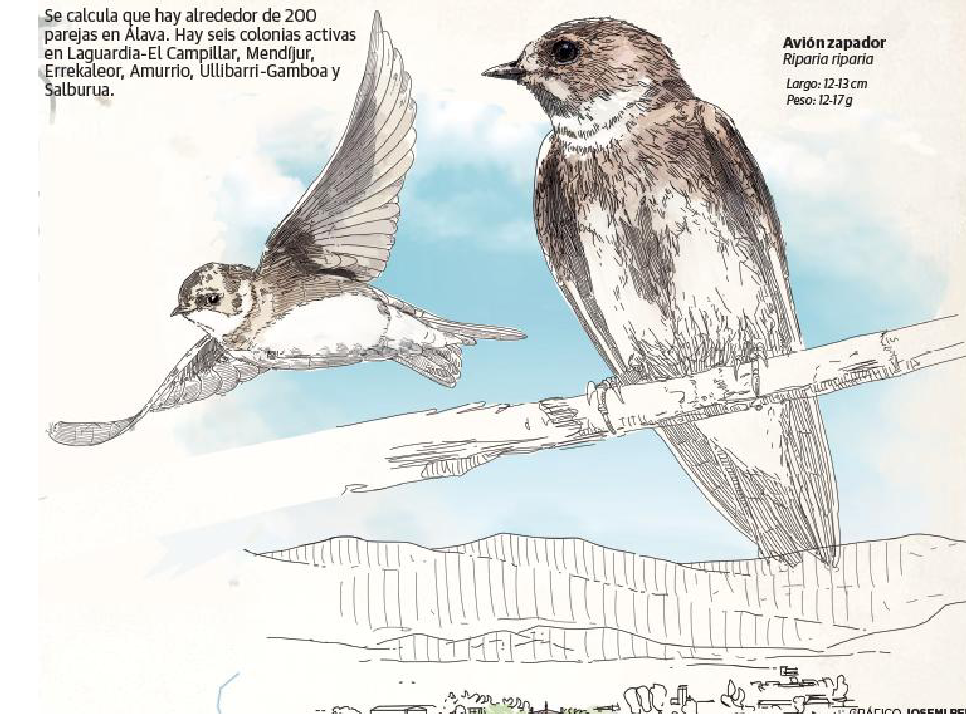 Los aviones zapadores remontan el vuelo en la gravera de Laguardia