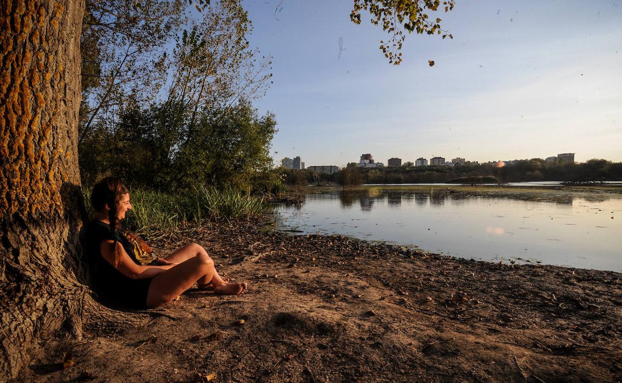 Una mujer toma el sol a orillas de los humedales de Salburua. 