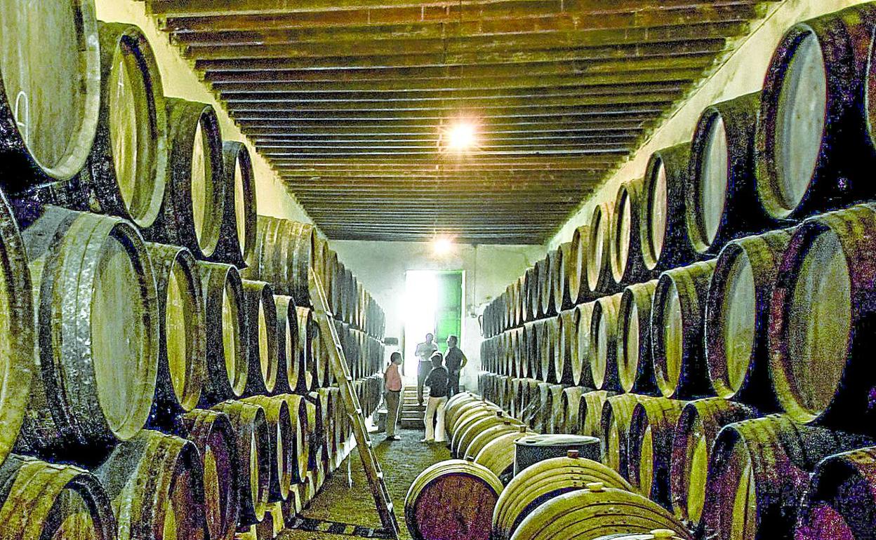 Vista de los barriles en una bodega.