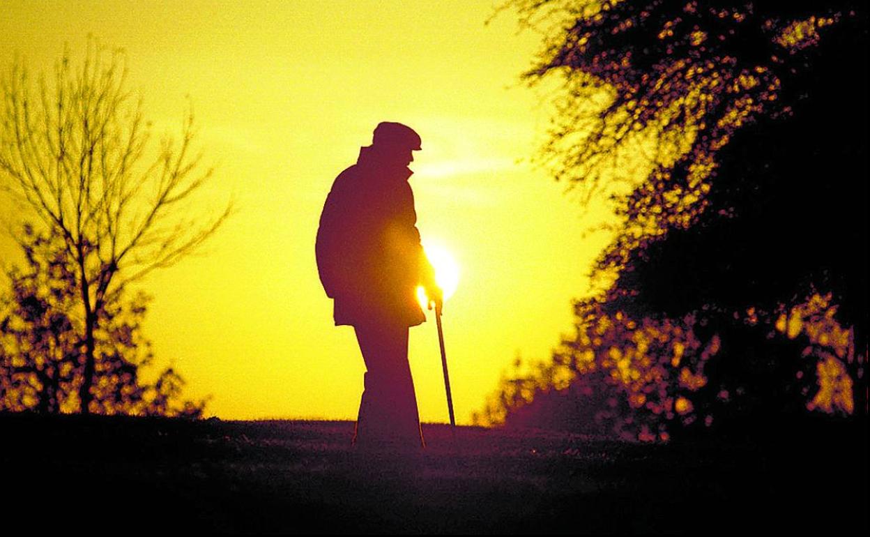 Los hombres de más de 70 años son más proclives a quitarse la vida según la OMS. 