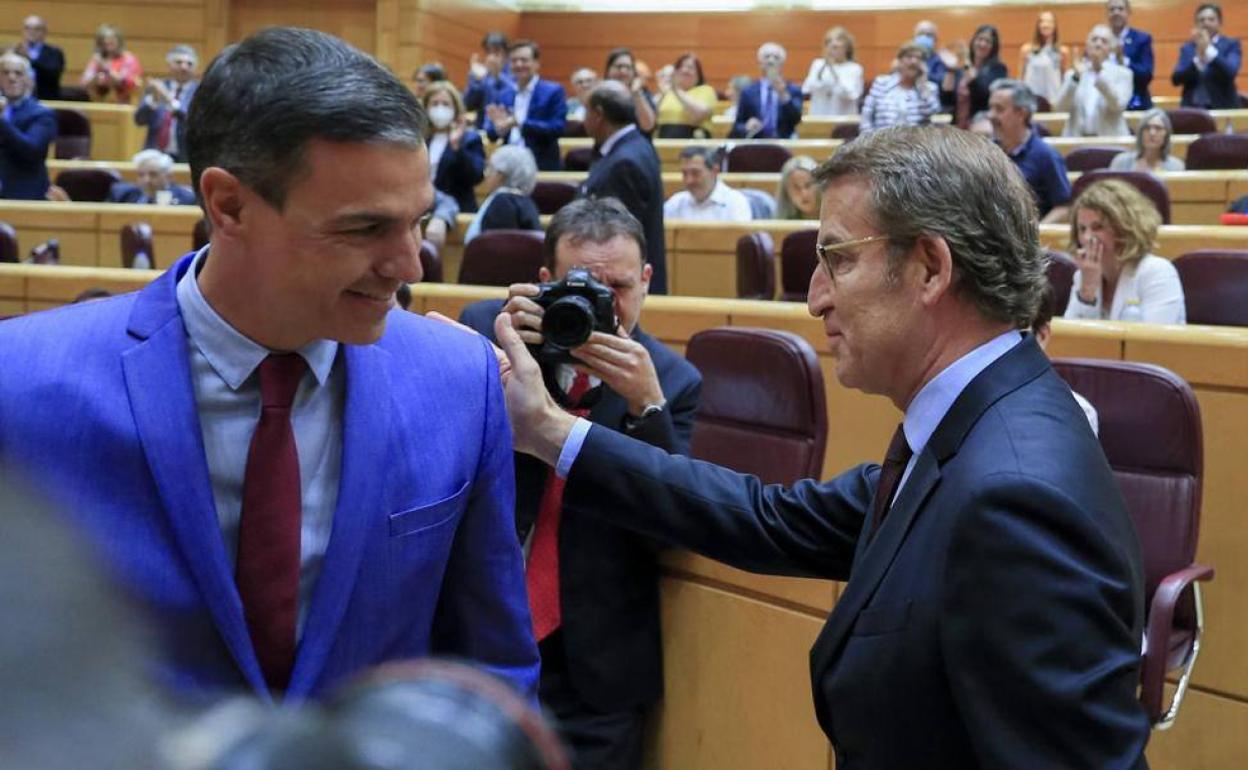 Pedro Sánchez y Alberto Núñez Feijóo durante una sesión de control en el Senado. 