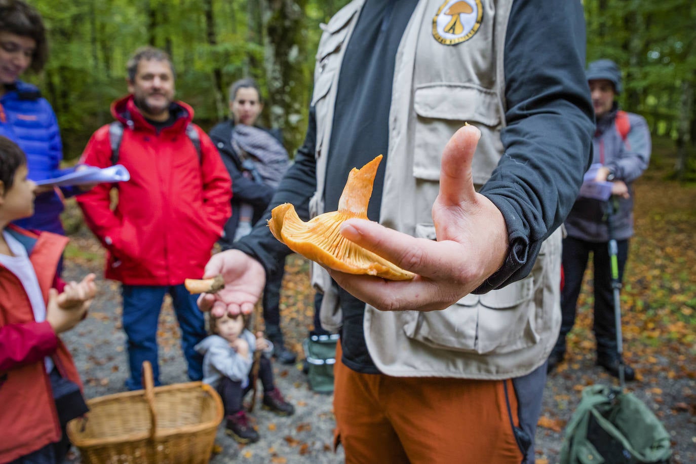 Fotos: Arranca la temporada de setas
