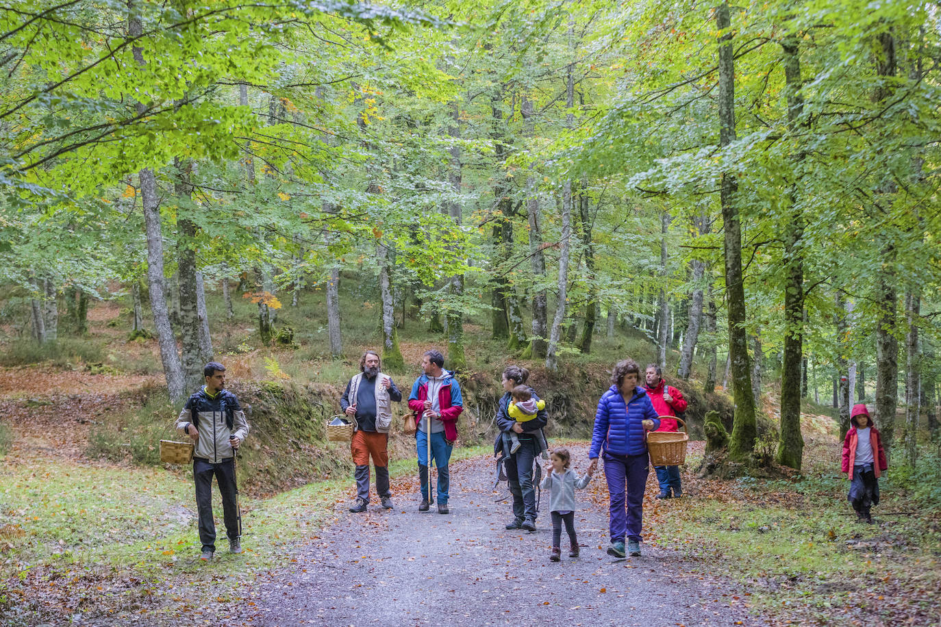 Fotos: Arranca la temporada de setas