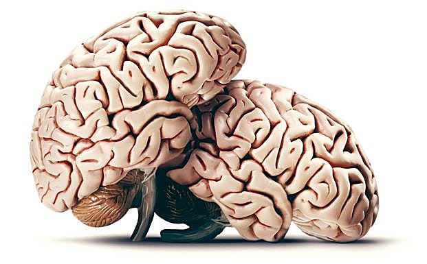 Imagen principal - El primer asalto de Javier Jaén