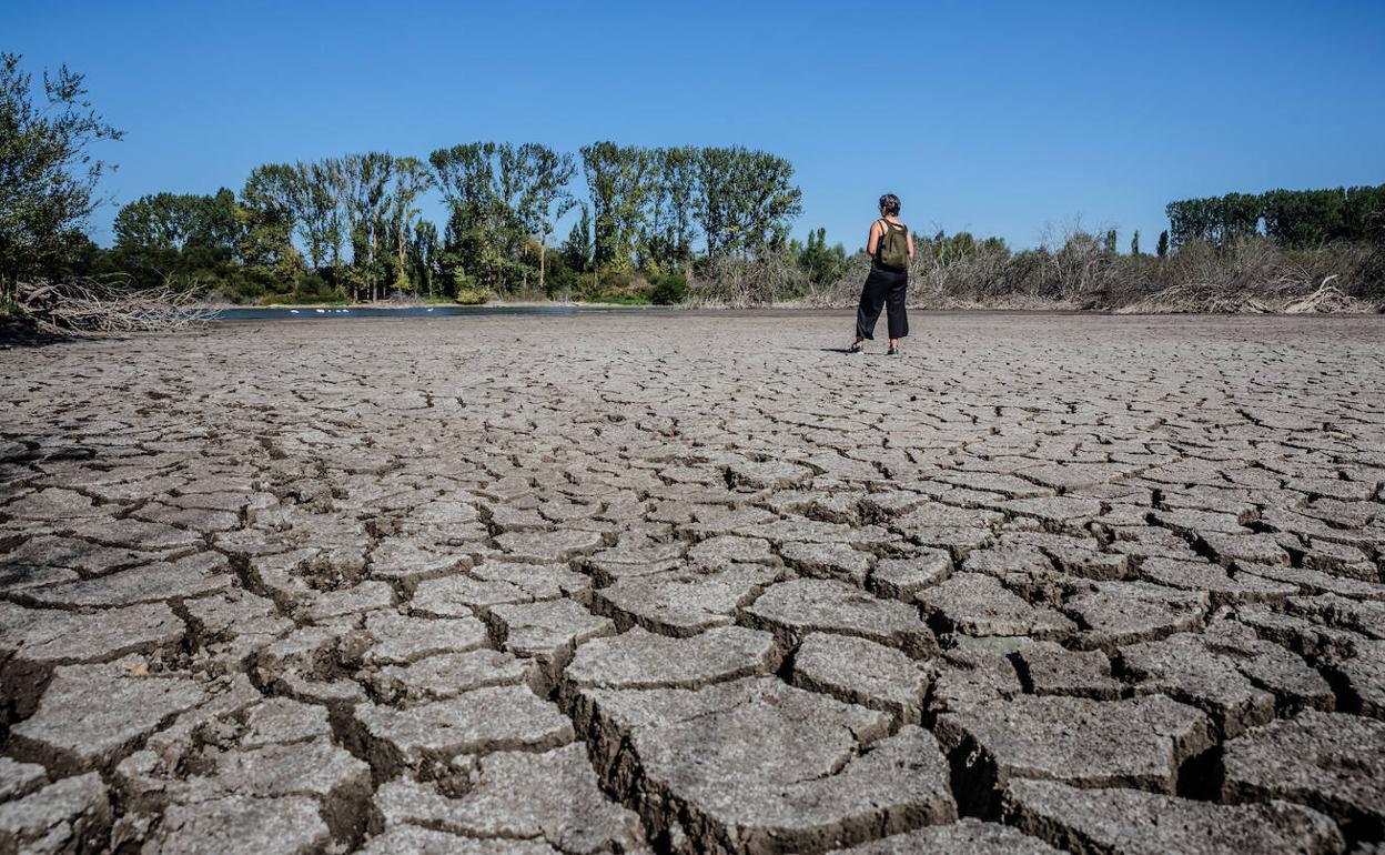 Tras un verano seco, el inicio de otoño ha tenido temperaturas típicas de «final de verano». 