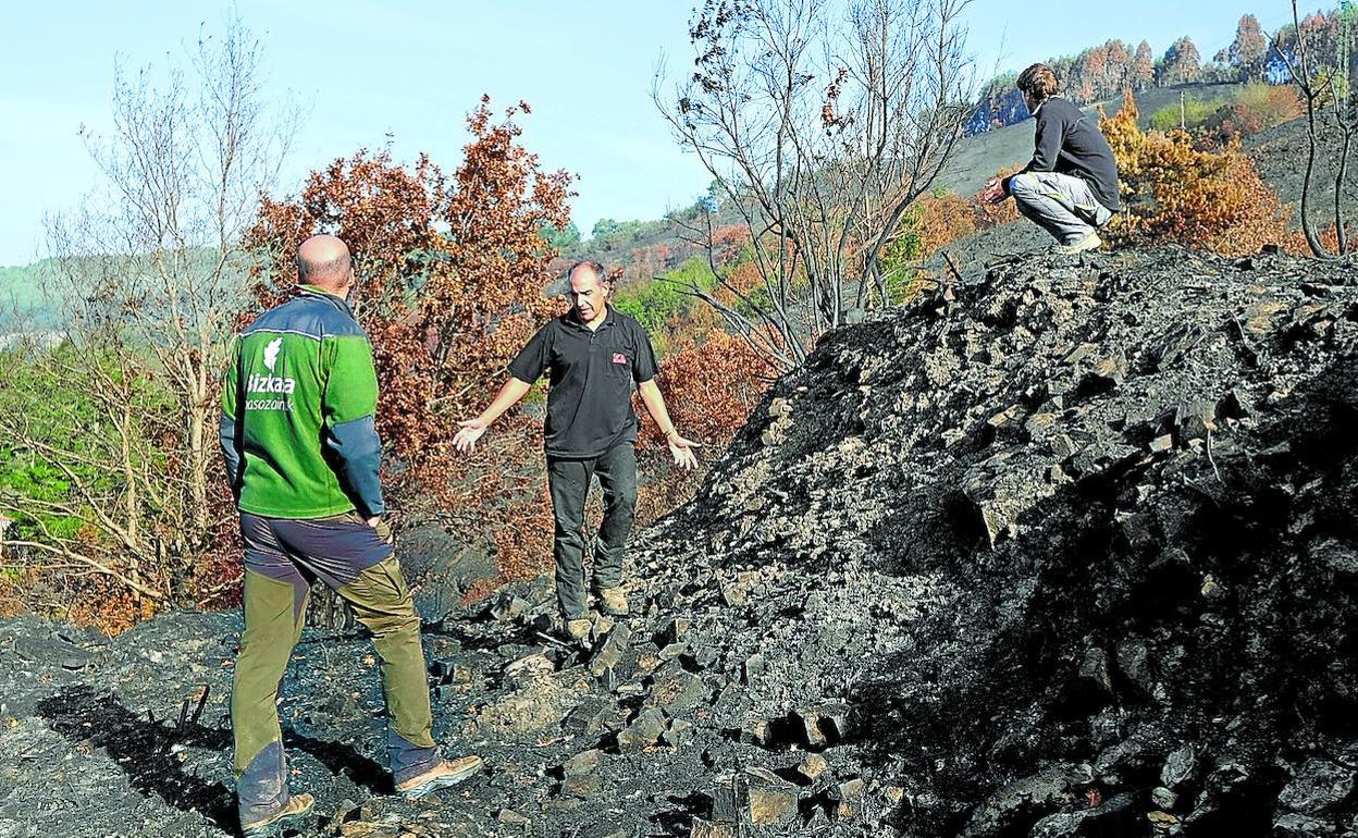 El ingeniero de Montes de la Diputación Aitor Omar recorre las 21 hectáreas quemadas junto al guarda Mikel Carrasco y el becario Unai Huidobro. 