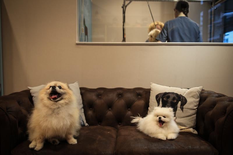 Txiki y Rita, esperando su turno en el chester.