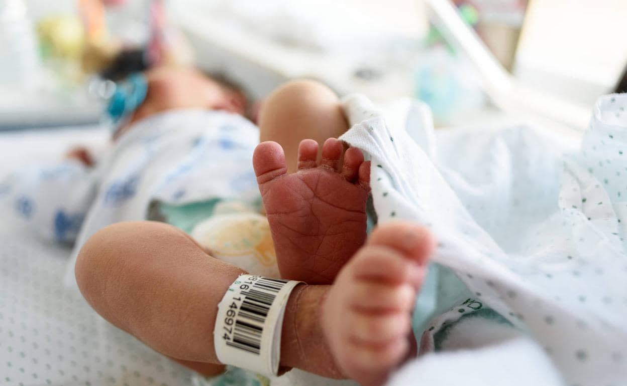 El protocolo para recién nacidos de Osakidetza: pruebas a pie de cama y el  bebé siempre acompañado por un familiar