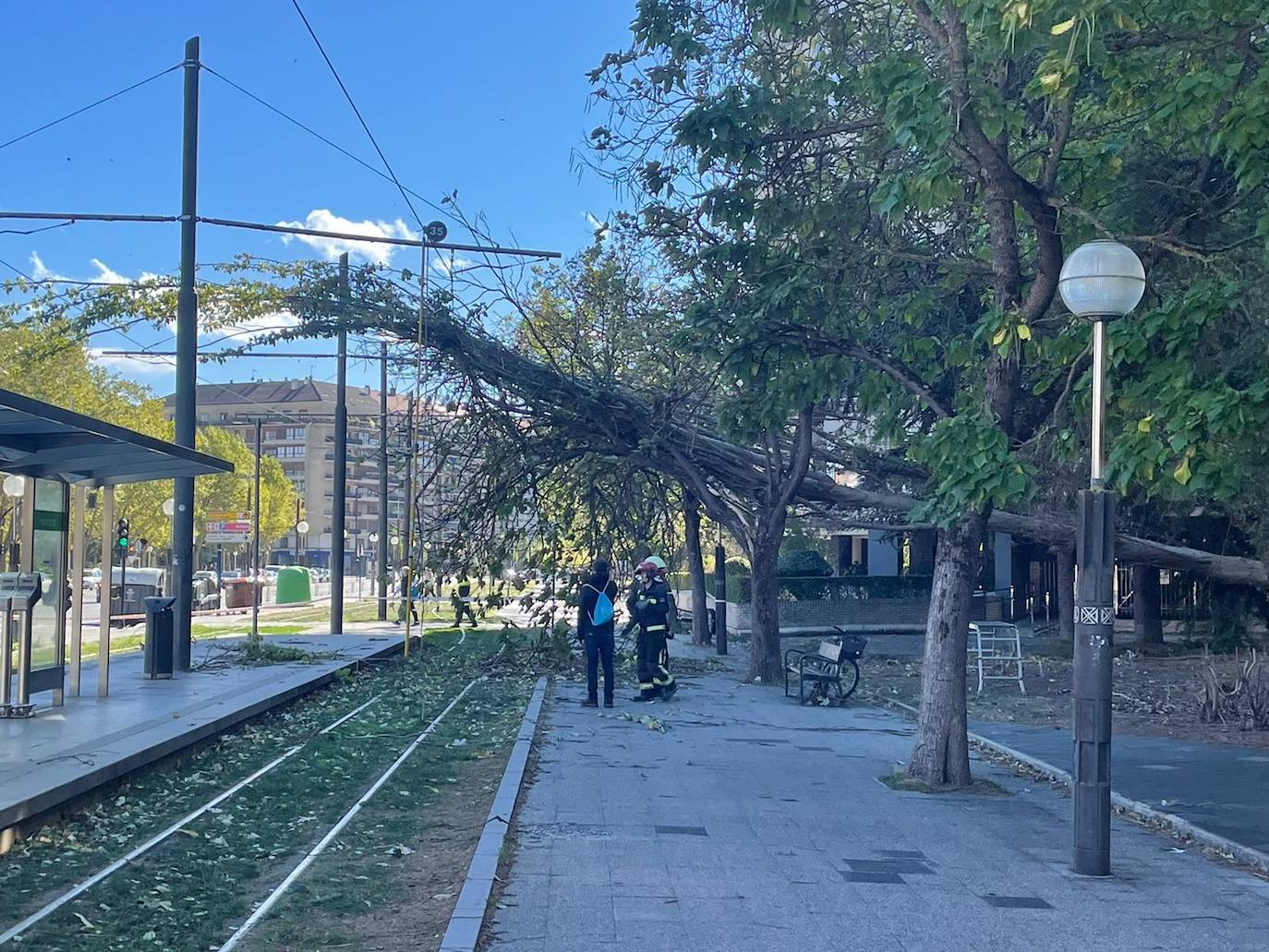 Fotos: Fuertes rachas de viento azotan Vitoria