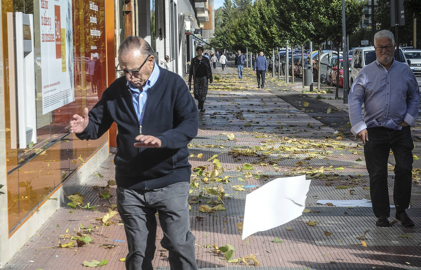 Fotos: Fuertes rachas de viento azotan Vitoria