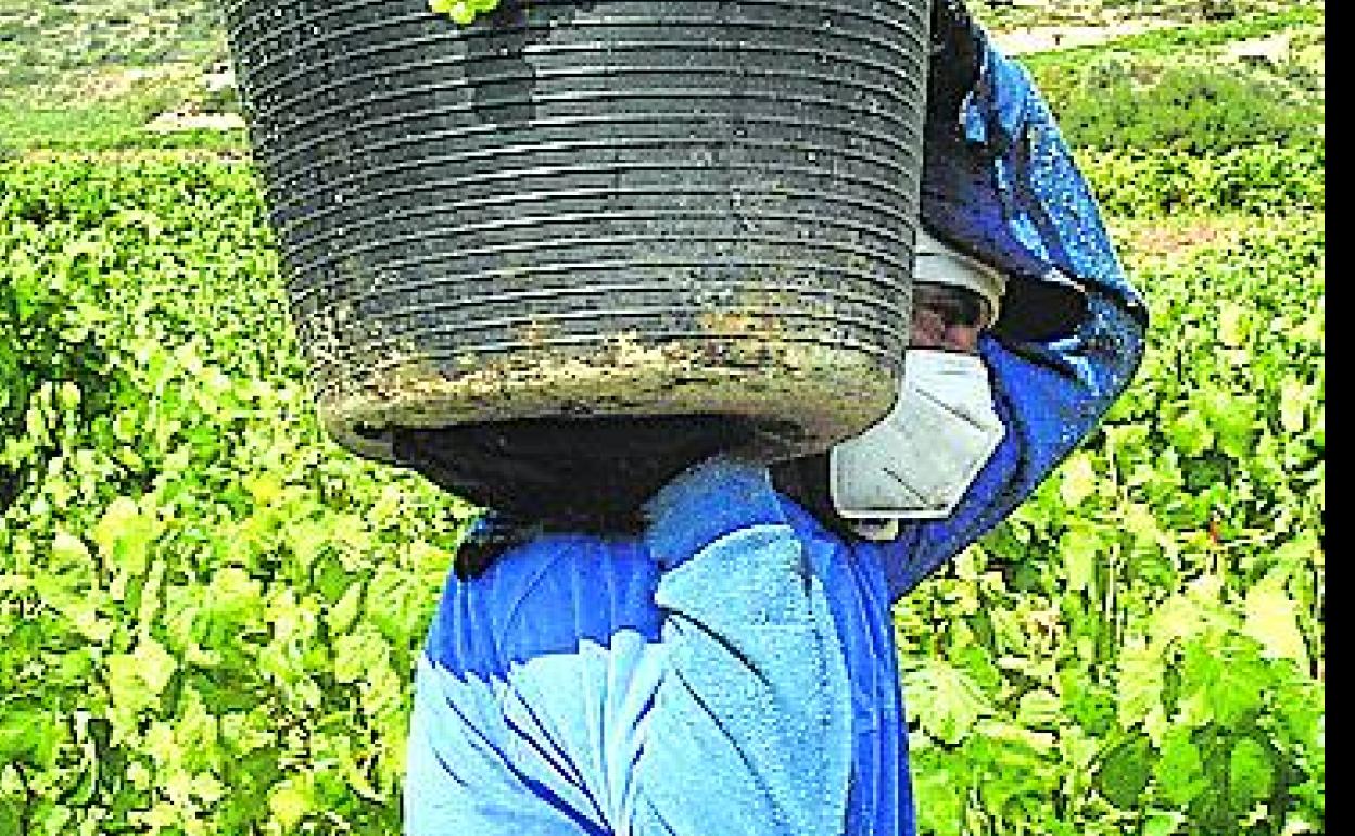 Urkullu ve «legítima» la petición del ABRA y pide respeto al proceso