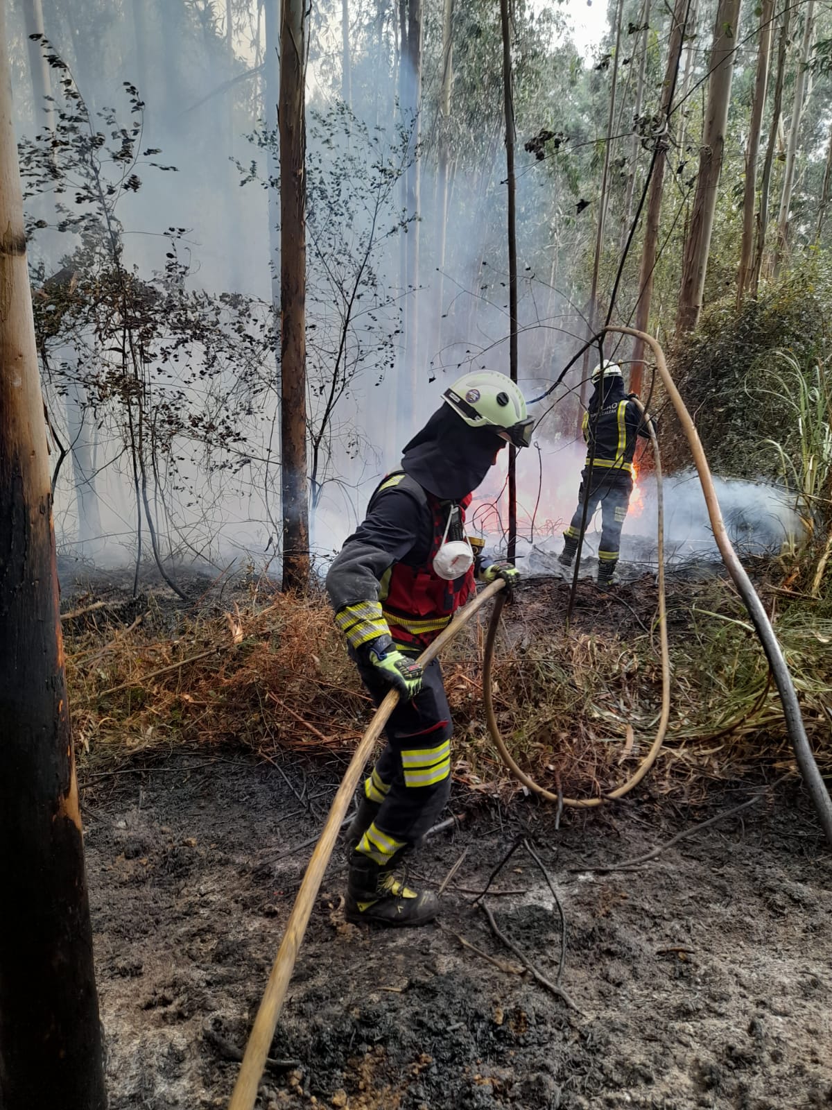 Los bomberos, trabajando sobre el terreno.